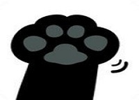 快点阅读怎么重新读小说