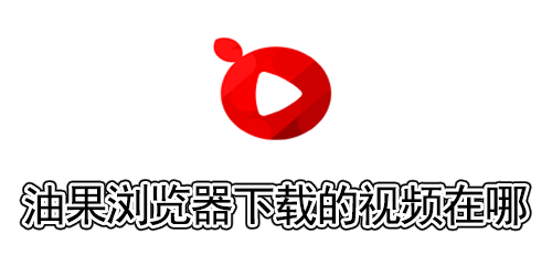 油果浏览器下载的视频在哪