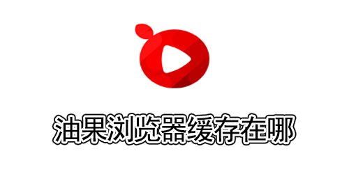 油果浏览器缓存在哪