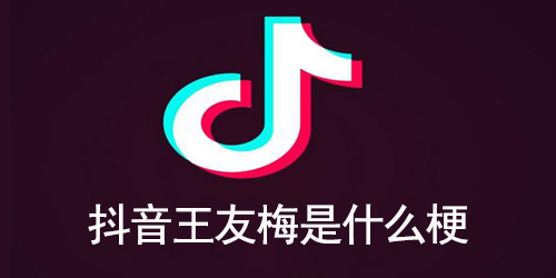 抖音王友梅是什么梗