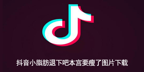 抖音小脂肪退下吧本宫要瘦了图片下载