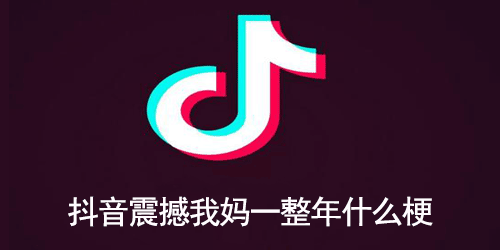 抖音震撼我妈一整年什么梗