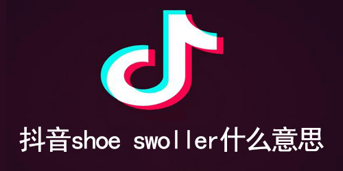 抖音shoe swoller什么意思