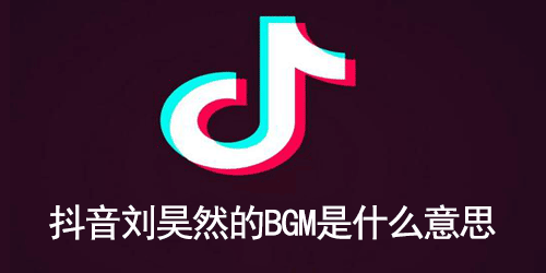 抖音刘昊然的BGM是什么意思