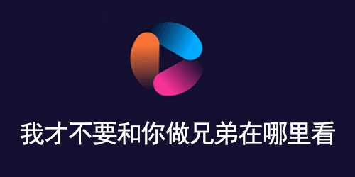 我才不要和你做兄弟在哪里看