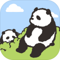熊猫森林最新版