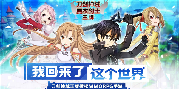 刀剑神域黑衣剑士王牌直剑搭配推荐