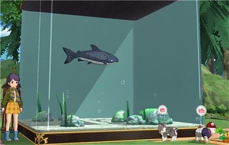 小森生活链鱼哪里钓概率高