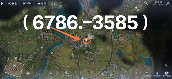 黎明觉醒芦苇花宝藏图位置