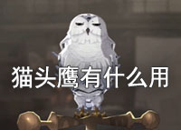 哈利波特魔法觉醒猫头鹰有什么用