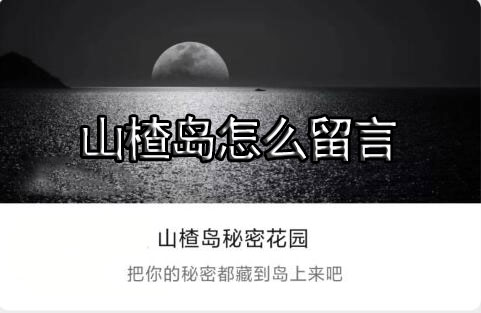山楂岛怎么留言