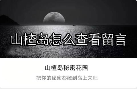 山楂岛怎么查看留言