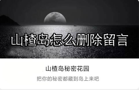山楂岛怎么删除留言