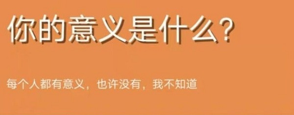 你的意义是什么在哪里测试