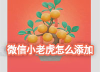 微信小老虎怎么添加
