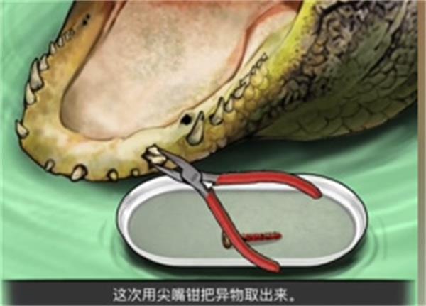 全民剧本大师鳄鱼拔牙关卡攻略