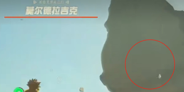 《塞尔达传说王国之泪》外形像鱼的怪物叫什么