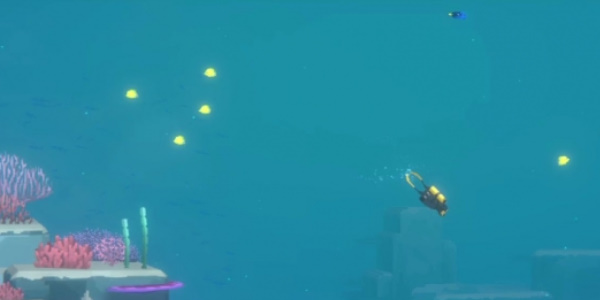 《潜水员戴夫》鱼拾取不了的原因