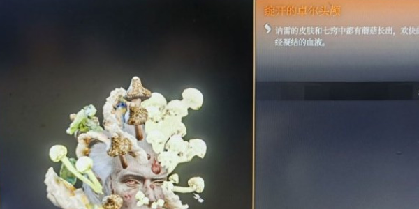 《博德之门3》割讷雷头方法攻略