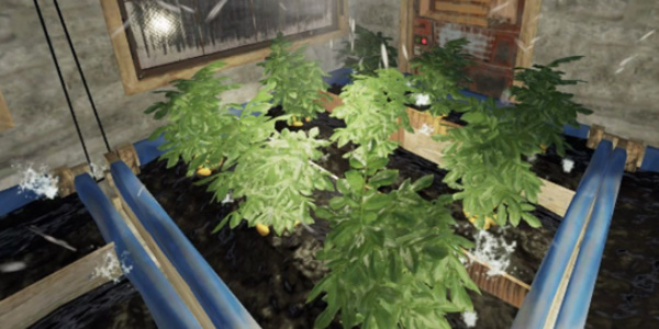 《腐蚀》南瓜种子获取方法