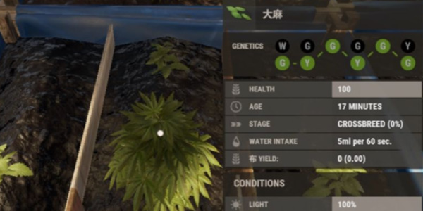 《腐蚀》种植种子方法介绍