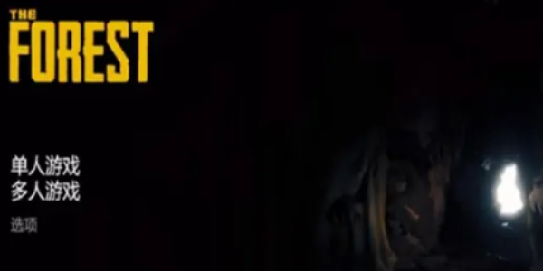 《森林之子》代码使用教程