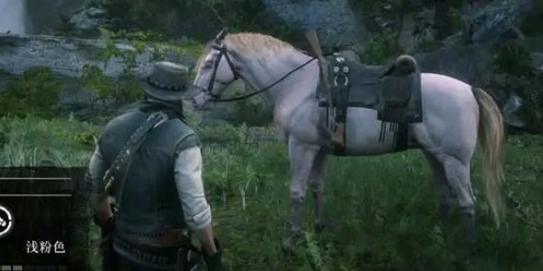 《荒野大镖客2》马的排行以及获取方法