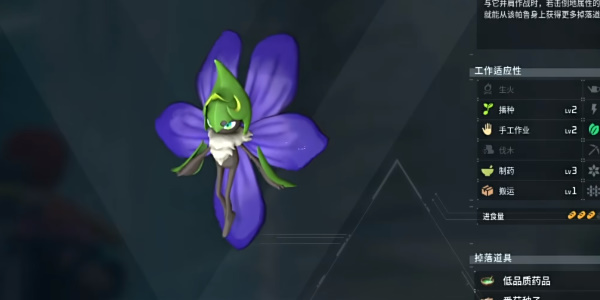 《幻兽帕鲁》薇莉塔捕捉位置介绍