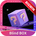 宾果盲盒BingoBox