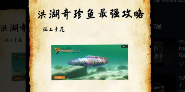 欢乐钓鱼大师珏上青花怎么钓