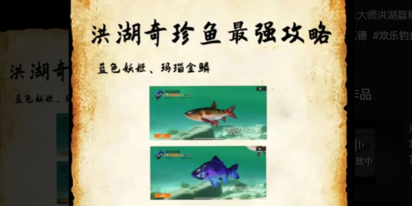 欢乐钓鱼大师蓝色妖姬与玛瑙金鳞钓取位置