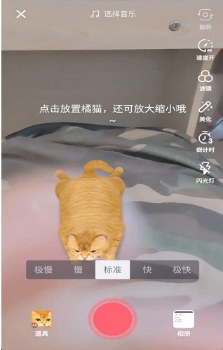 抖音AR橘猫是怎么放的