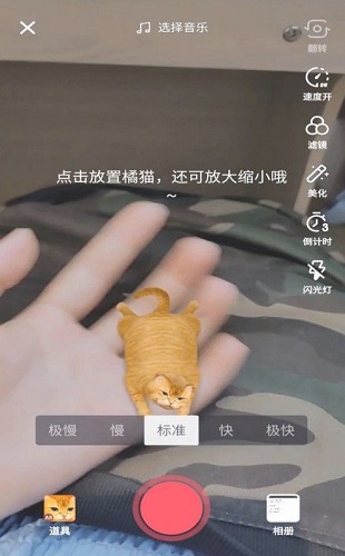 抖音AR橘猫是怎么放的