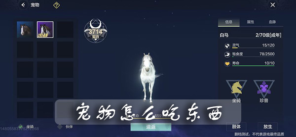 妄想山海宠物怎么吃东西