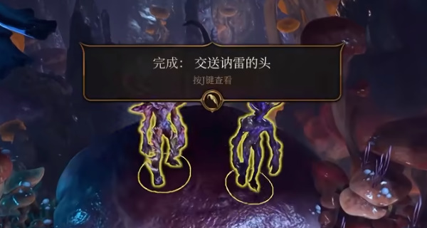 博德之门3交送讷雷的头任务怎么完成