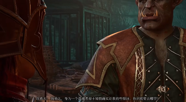 博德之门3寻找抵抗幽影诅咒的保护任务攻略
