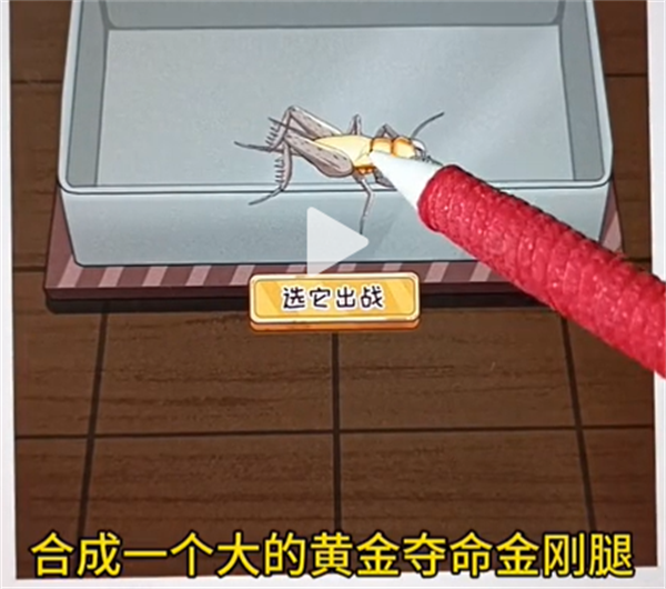 沙雕出击电子斗蛐蛐通关攻略