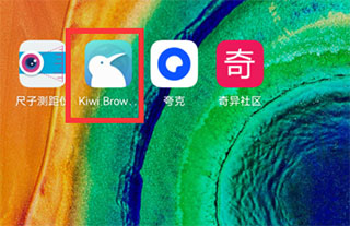 Kiwi Browser最新版