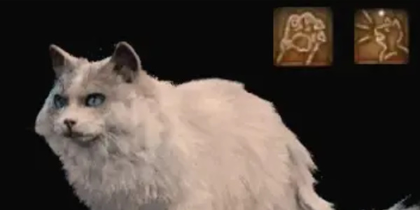 《博德之门3》德鲁伊动物形态介绍