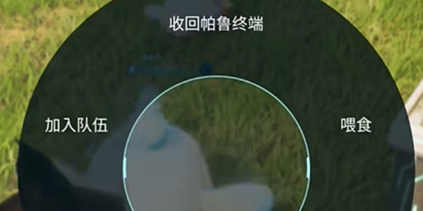 《幻兽帕鲁》与帕鲁互动按键是什么