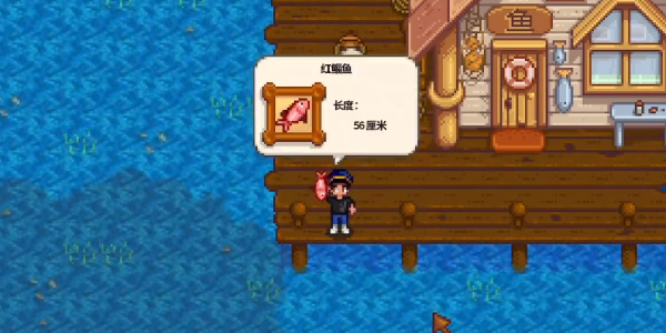 《星露谷物语》红鲷鱼在哪里钓