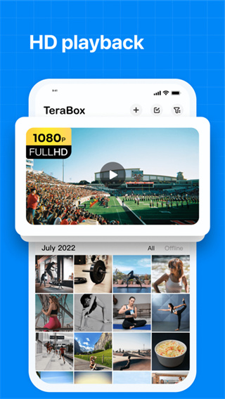 Terabox